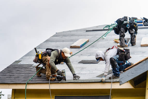 Professional Gutter Installation technician working in Mauk, GA